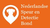 Logo NSDB